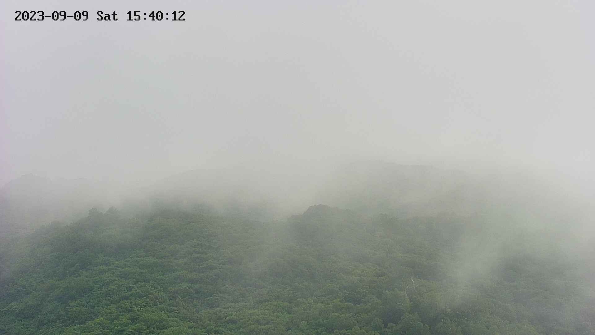 area2-20230909154014.jpg