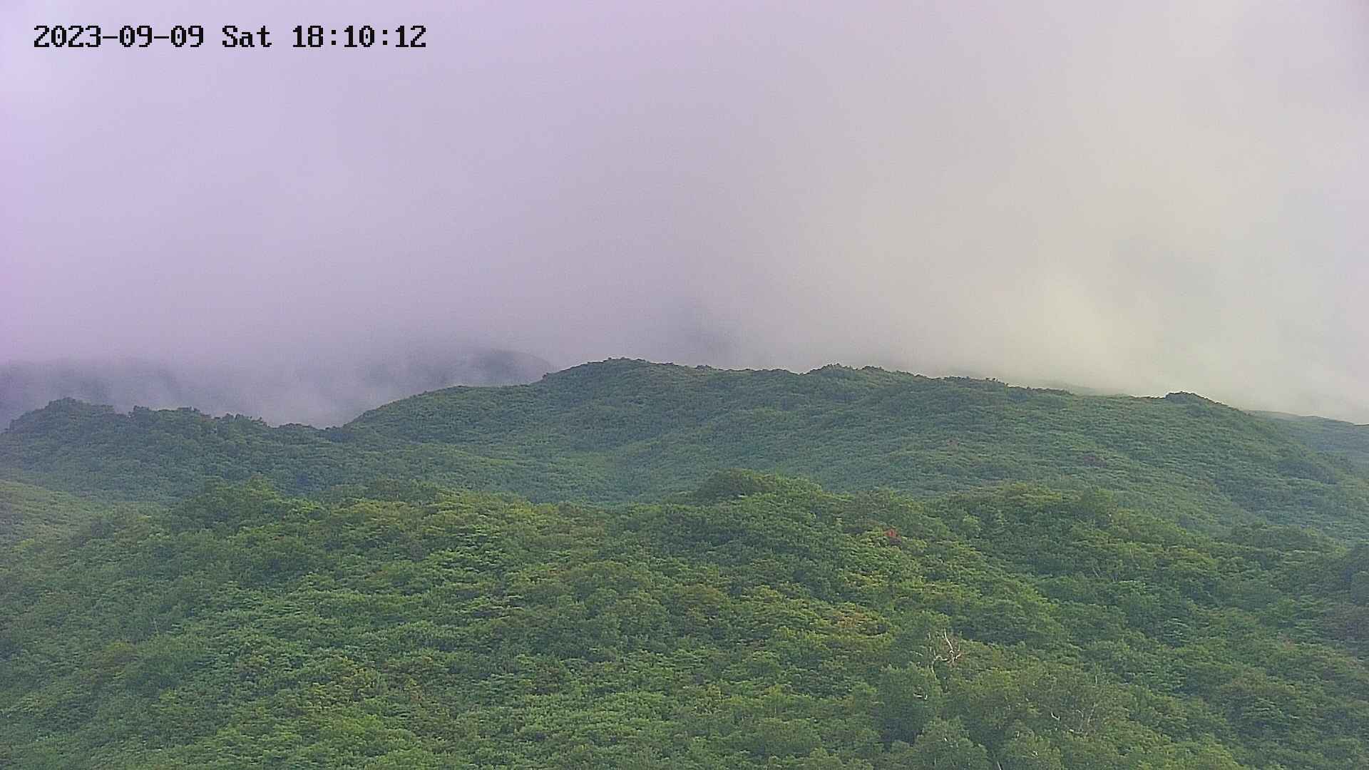 area2-20230909181017.jpg