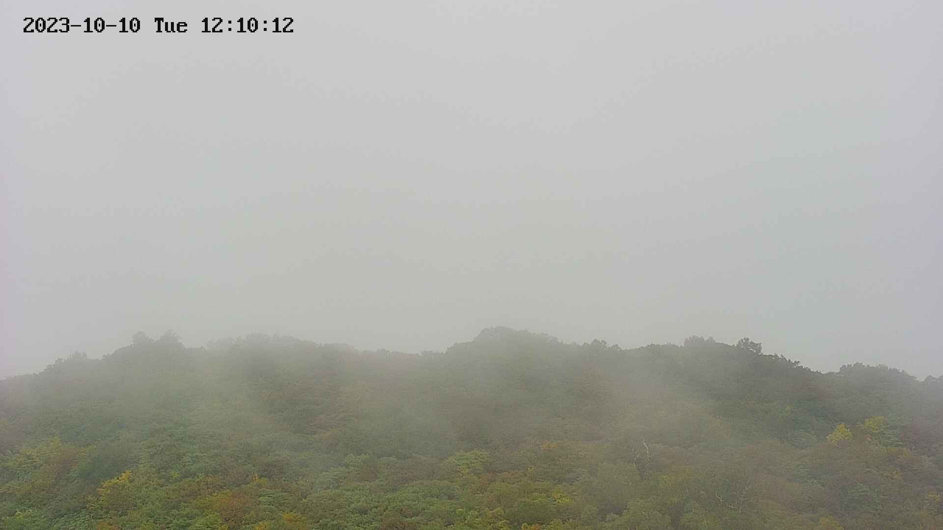 area2-20231010121014.jpg