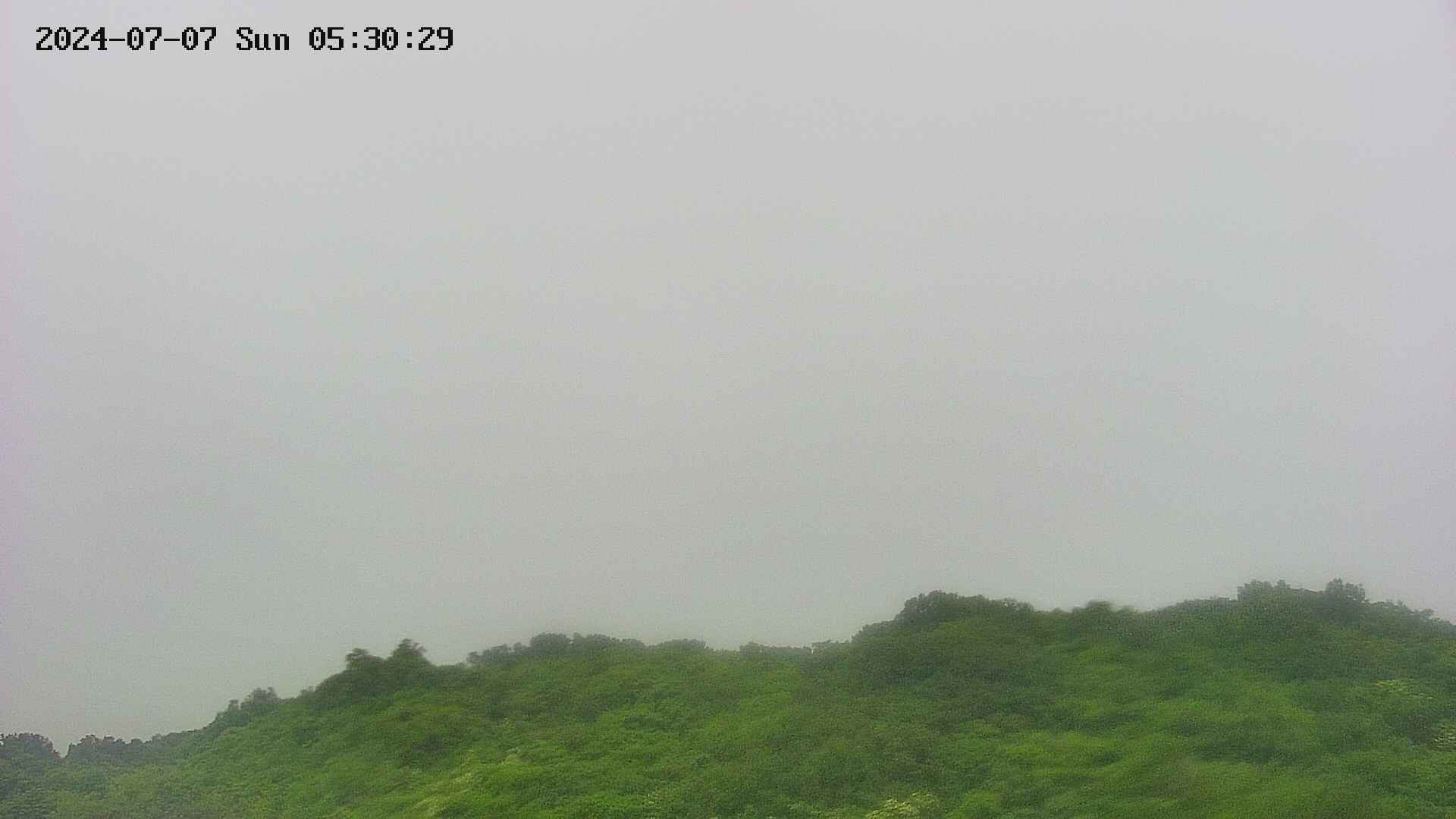 area2-20240707053030.jpg