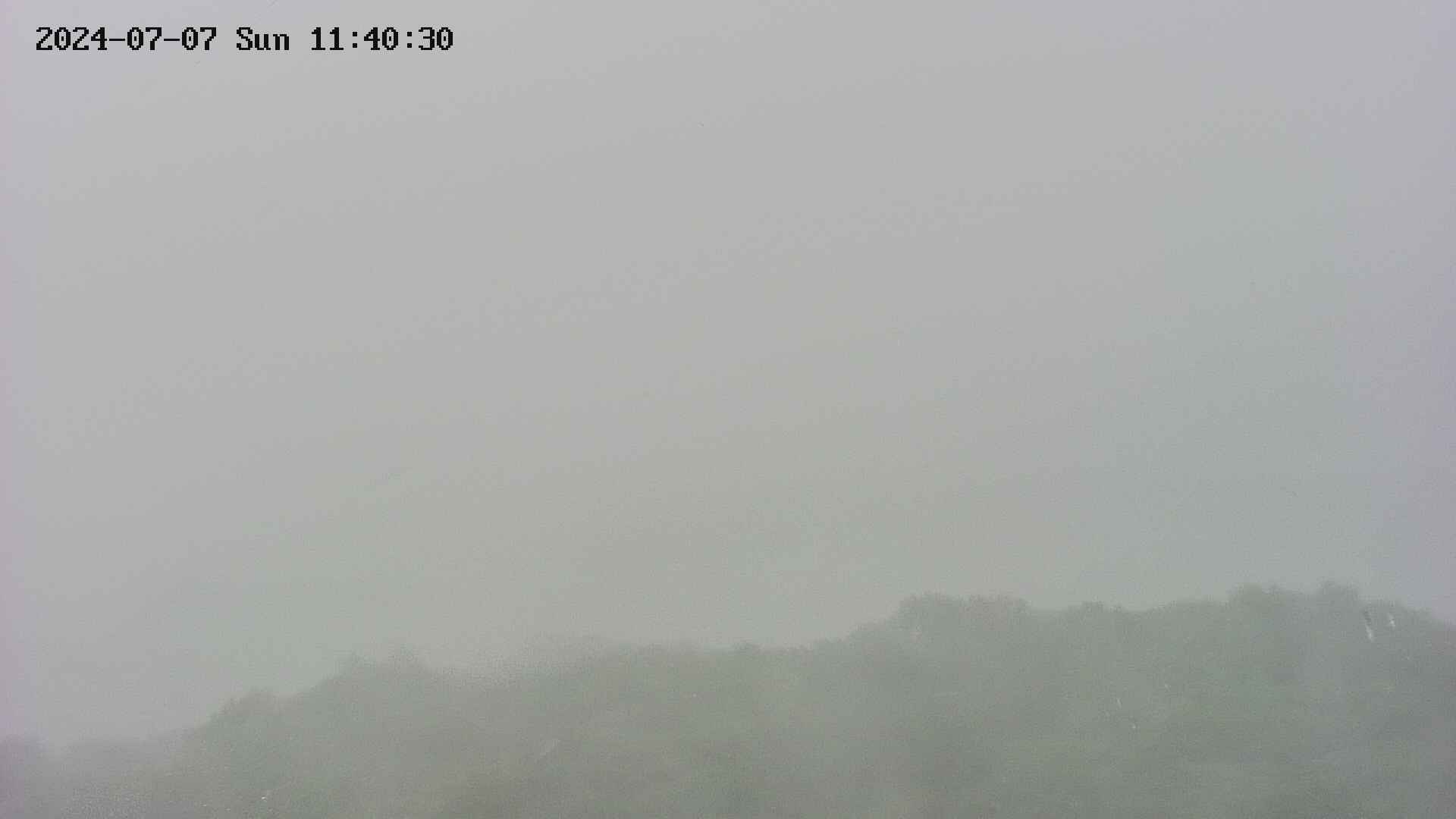 area2-20240707114030.jpg