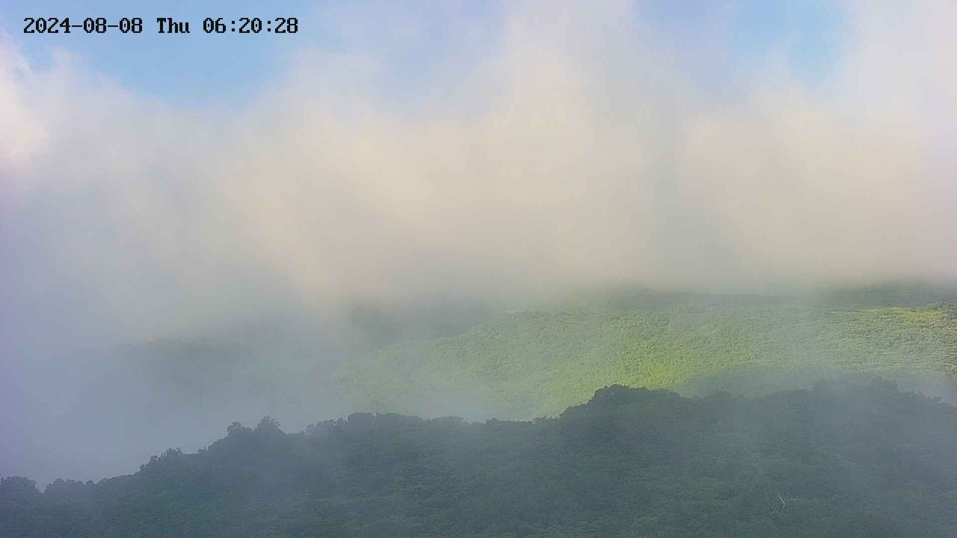 area2-20240808062029.jpg