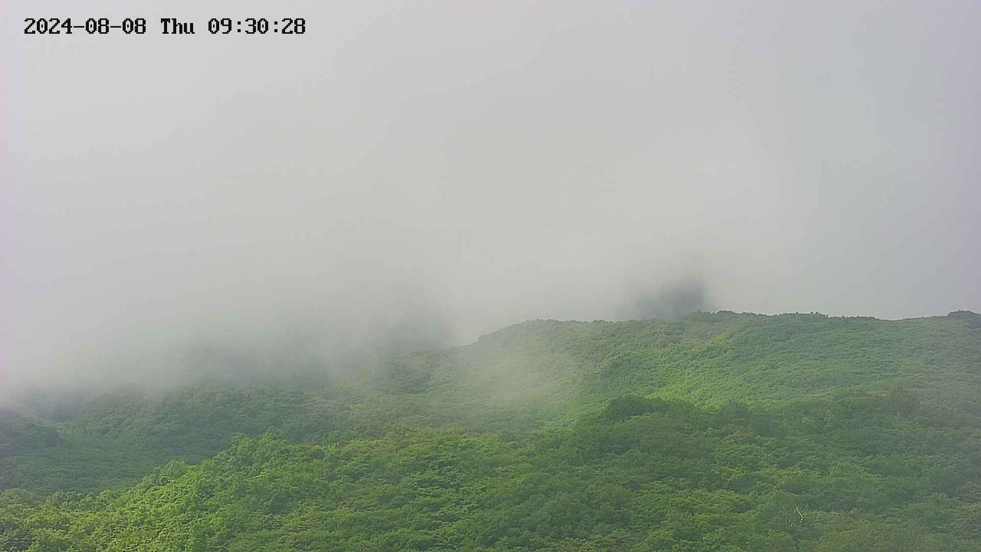 area2-20240808093029.jpg