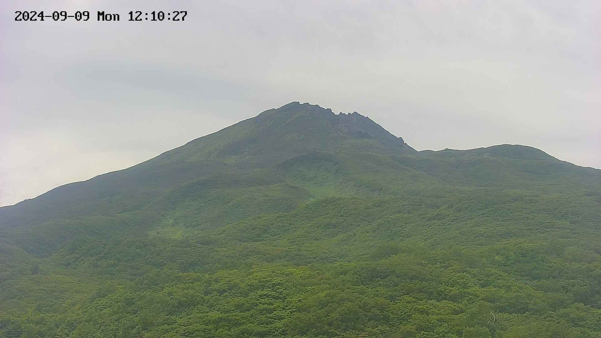 area2-20240909121027.jpg