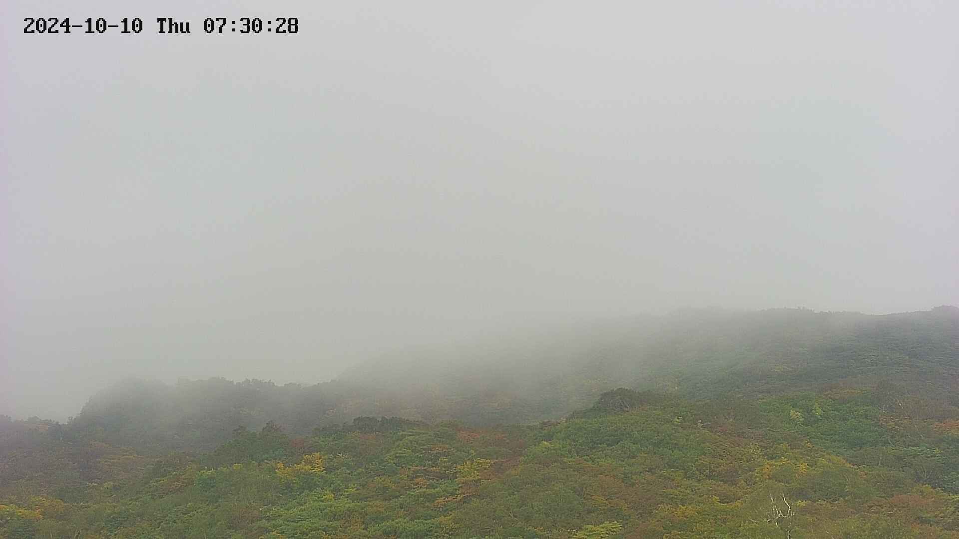 area2-20241010073029.jpg
