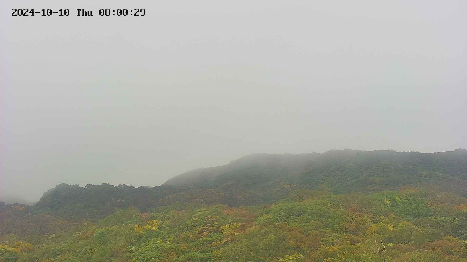 area2-20241010080030.jpg