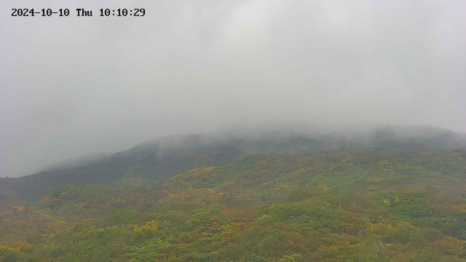 area2-20241010101030.jpg