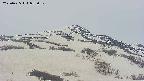 area2-20250425055031.jpg