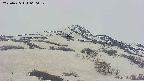 area2-20250425060031.jpg