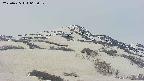 area2-20250425062031.jpg