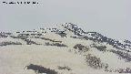 area2-20250425064030.jpg