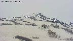 area2-20250425065030.jpg