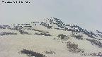area2-20250425070031.jpg