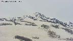 area2-20250425073031.jpg