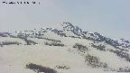 area2-20250425080032.jpg