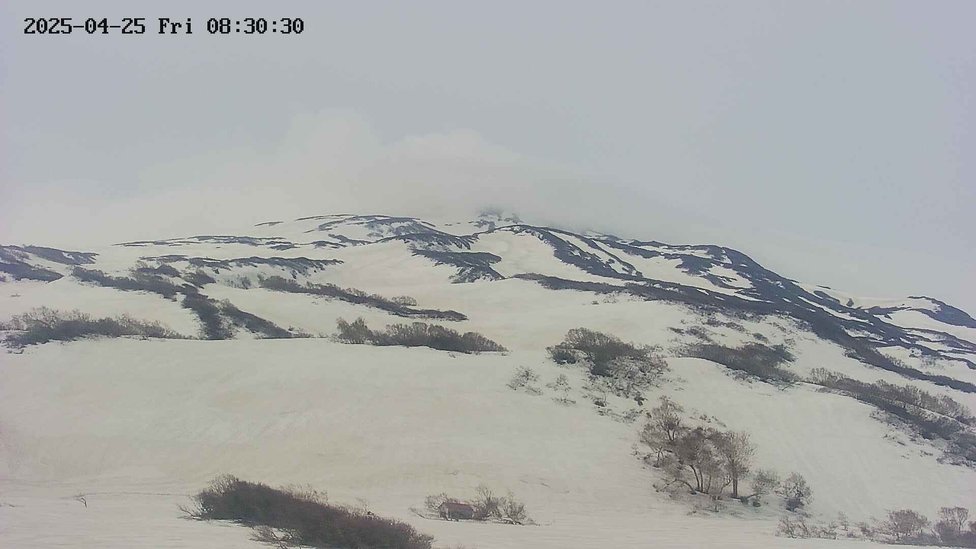 area2-20250425083031.jpg