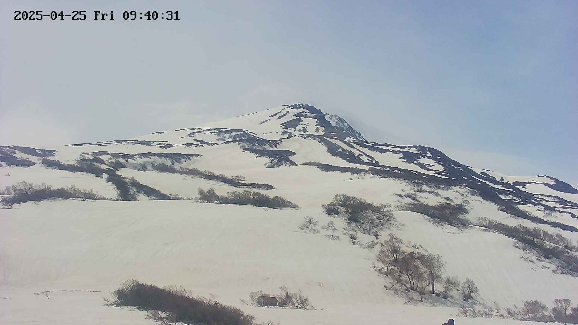 area2-20250425094033.jpg