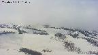 area2-20250425102031.jpg