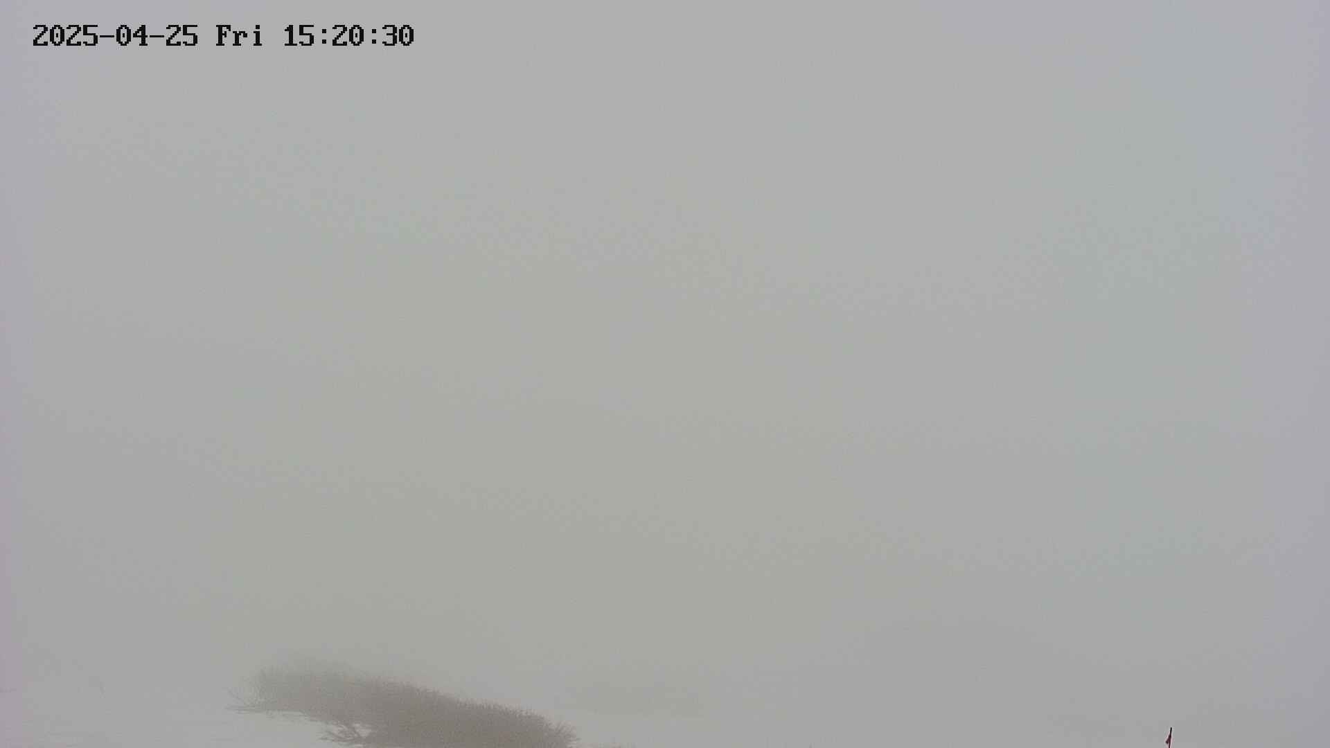 area2-20250425152032.jpg