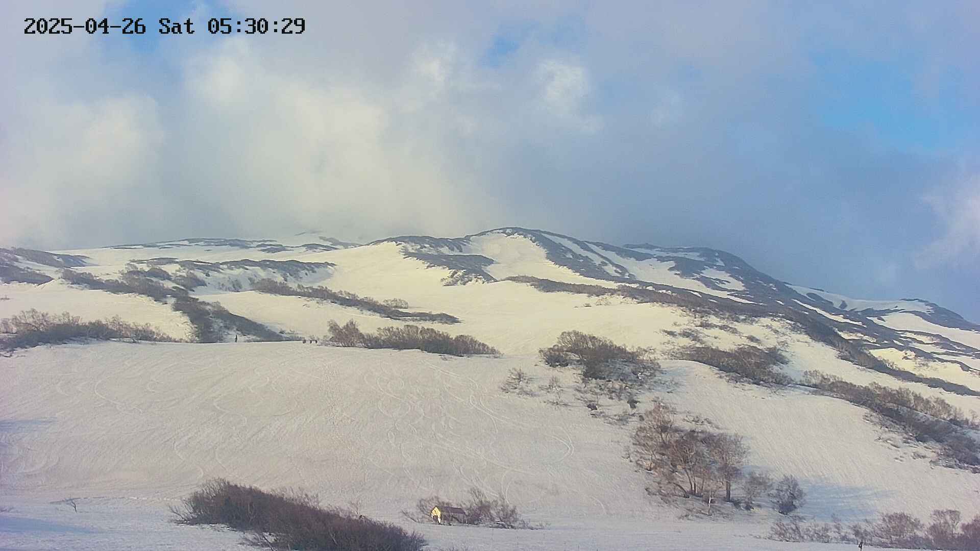 area2-20250426053030.jpg