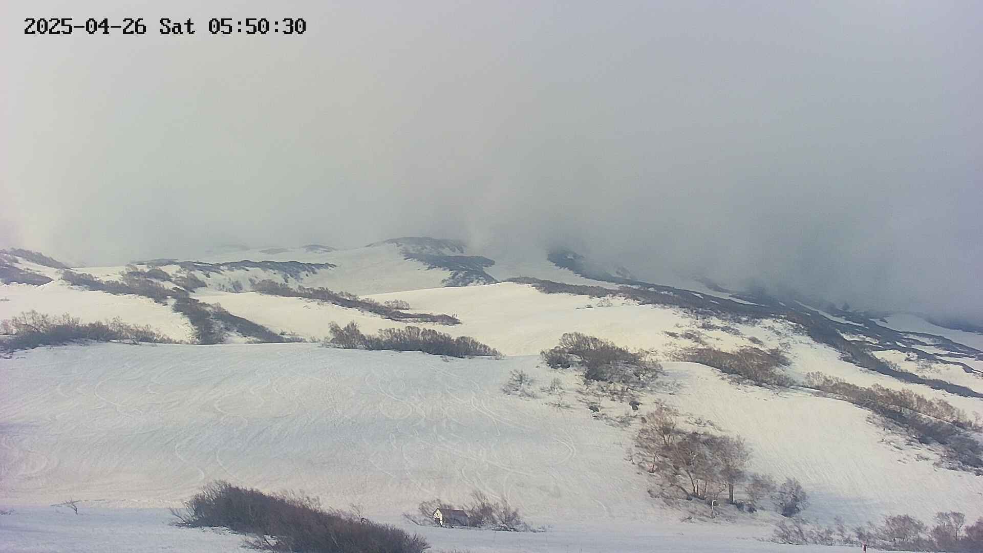 area2-20250426055031.jpg