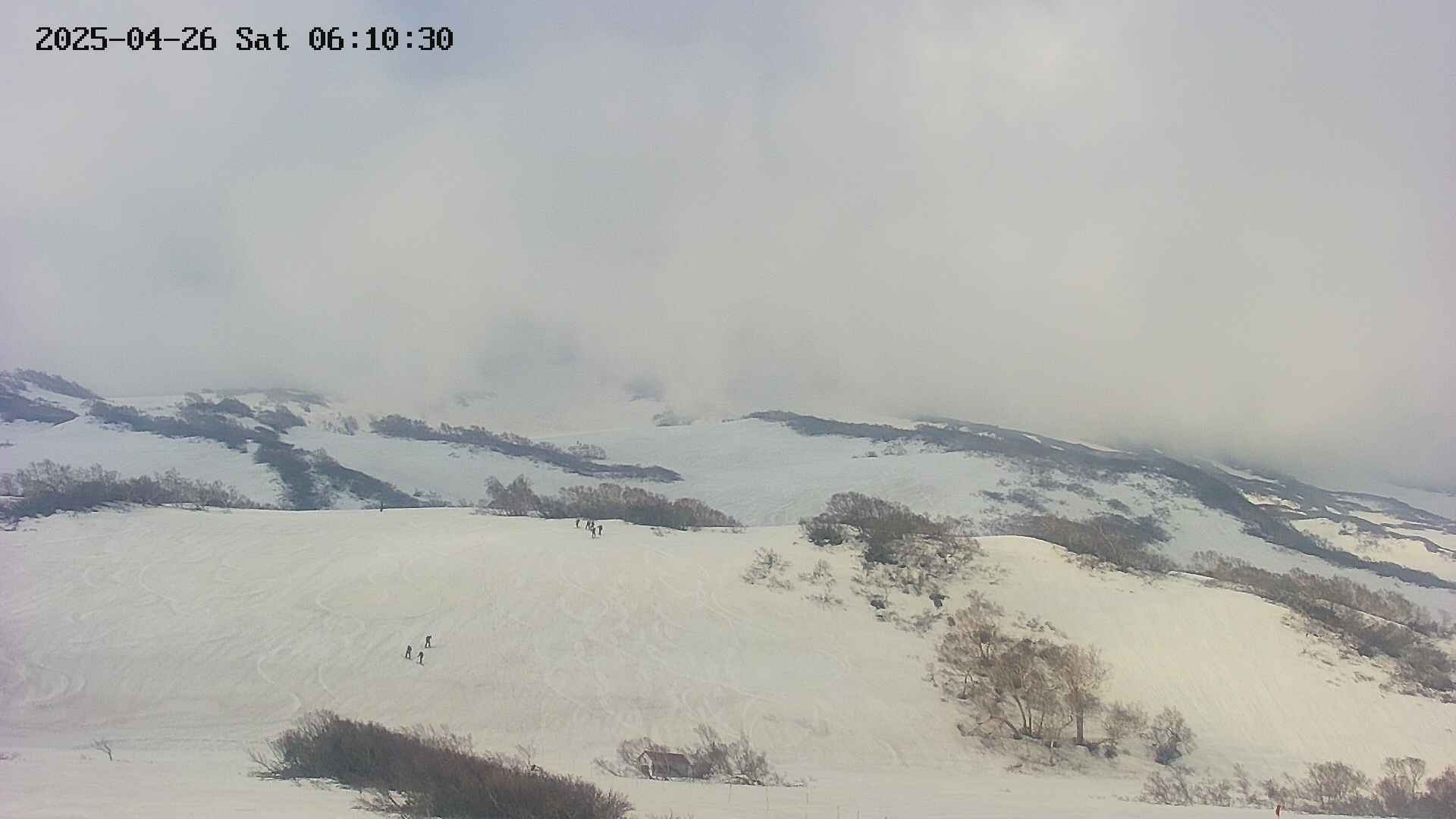area2-20250426061030.jpg