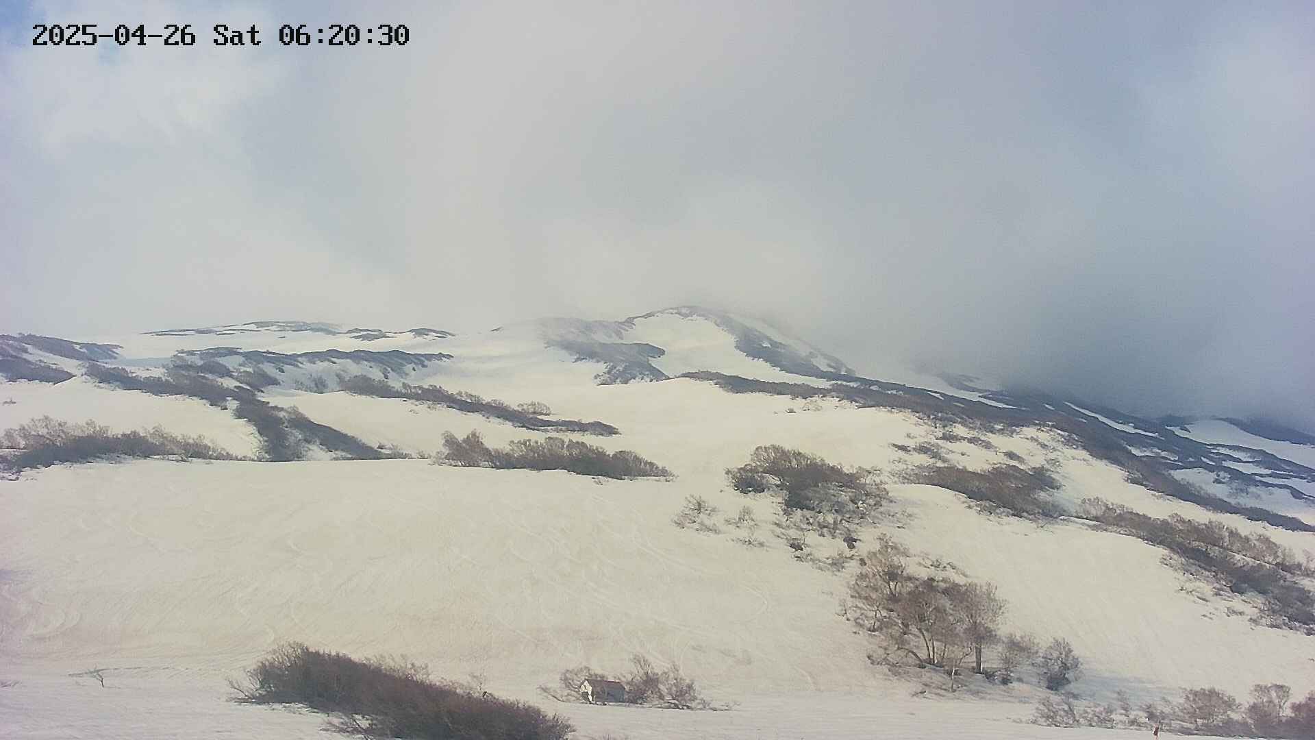 area2-20250426062030.jpg