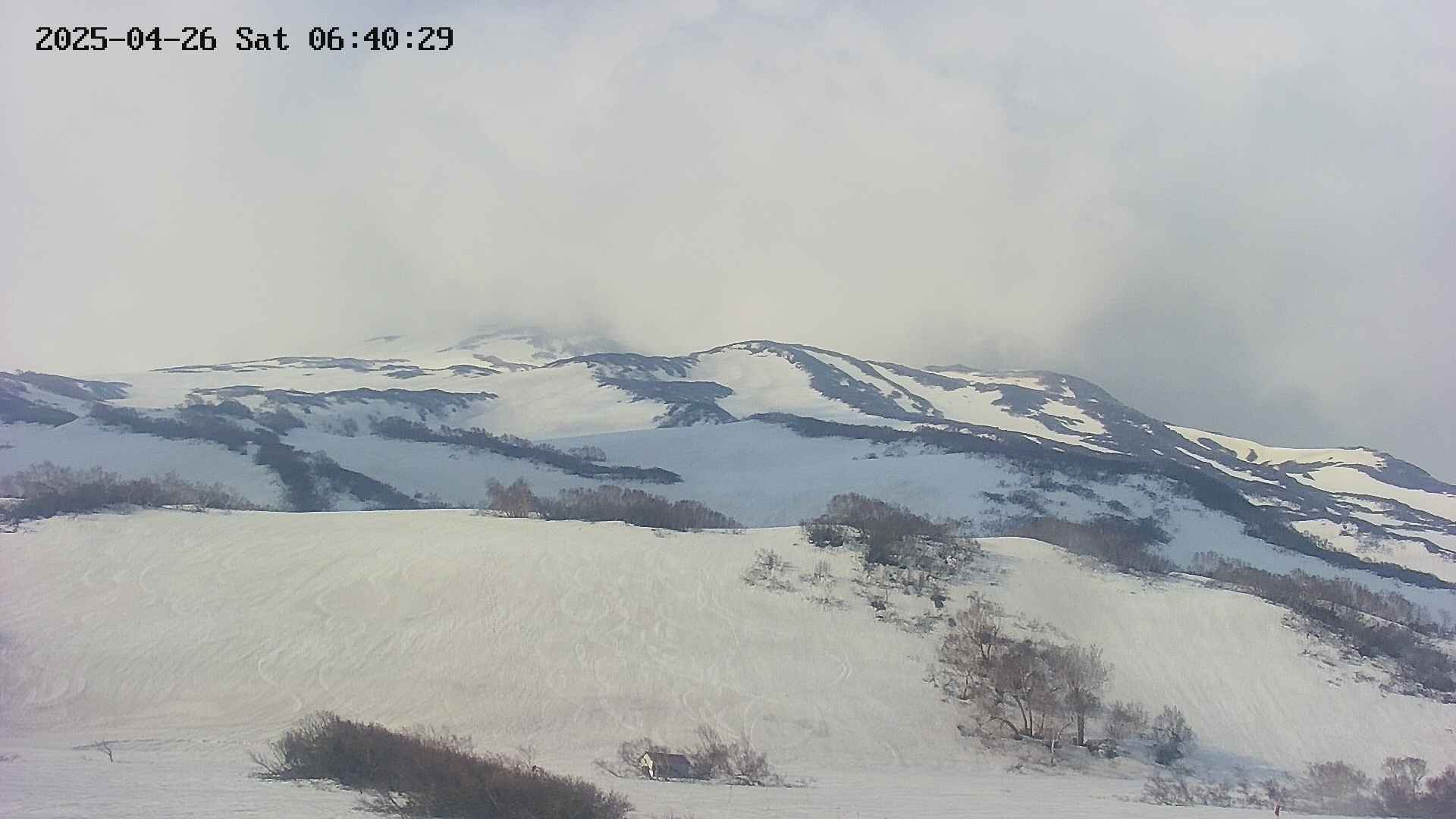 area2-20250426064031.jpg