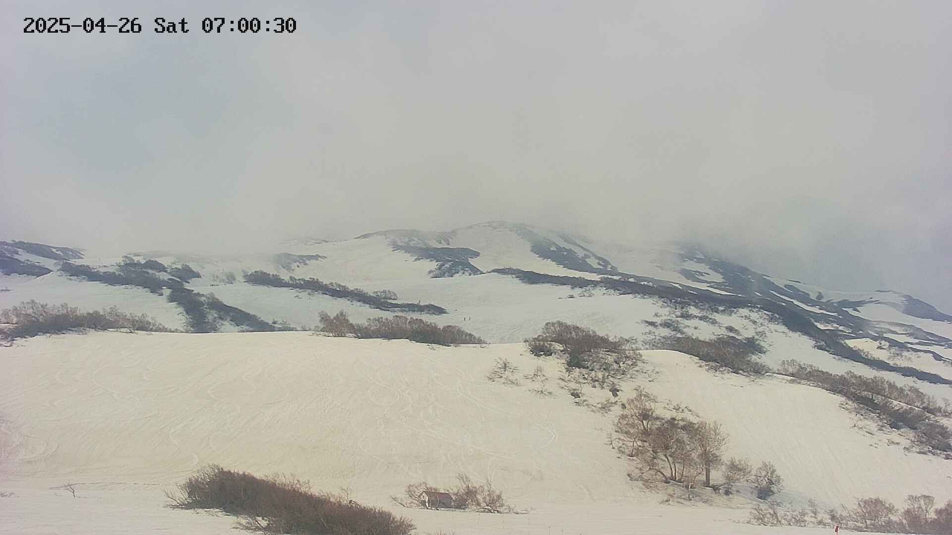 area2-20250426070031.jpg