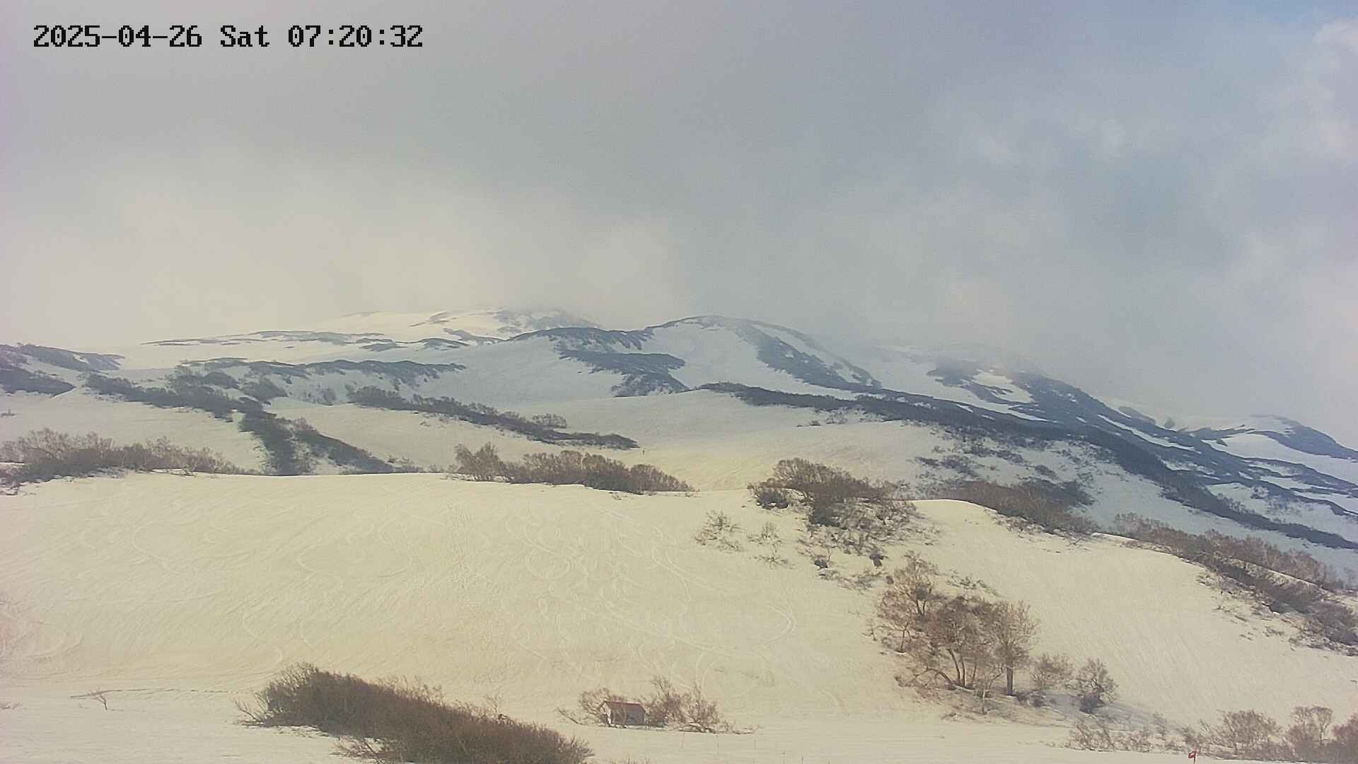 area2-20250426072035.jpg
