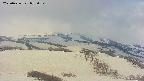 area2-20250426072035.jpg