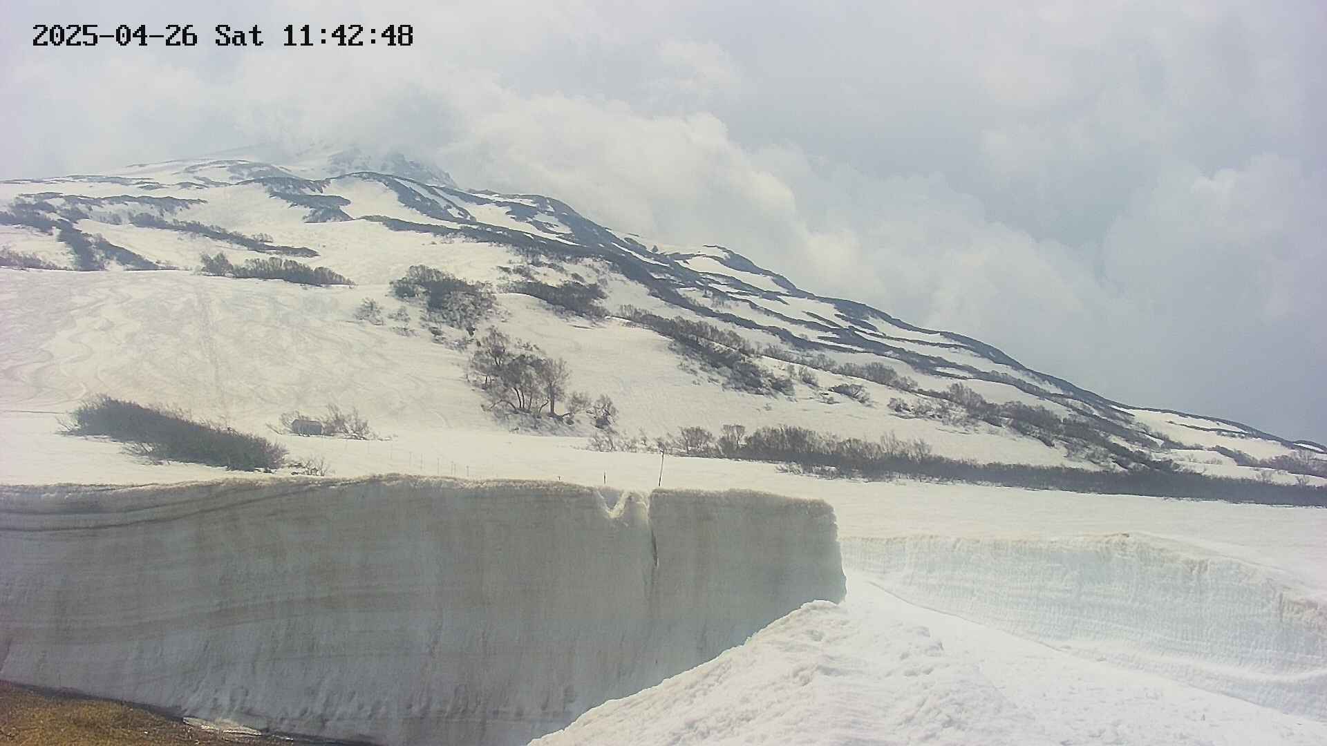 area2-20250426114253.jpg