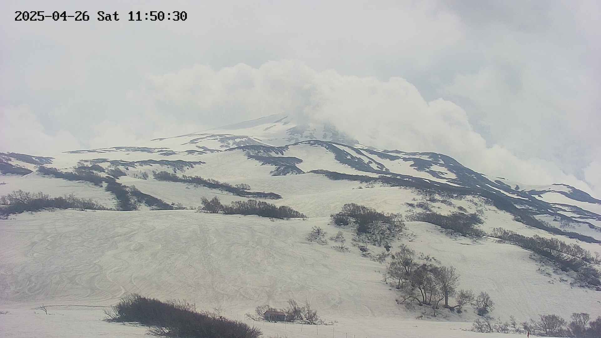 area2-20250426115033.jpg