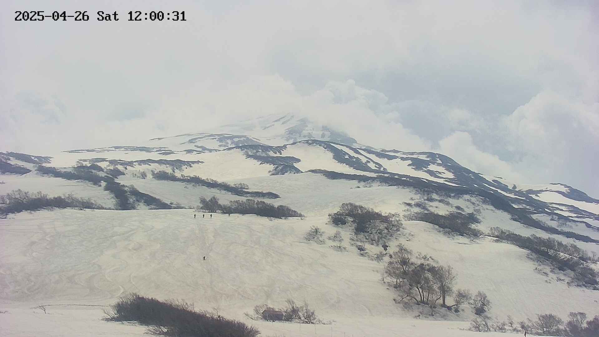 area2-20250426120039.jpg