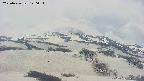 area2-20250426120039.jpg