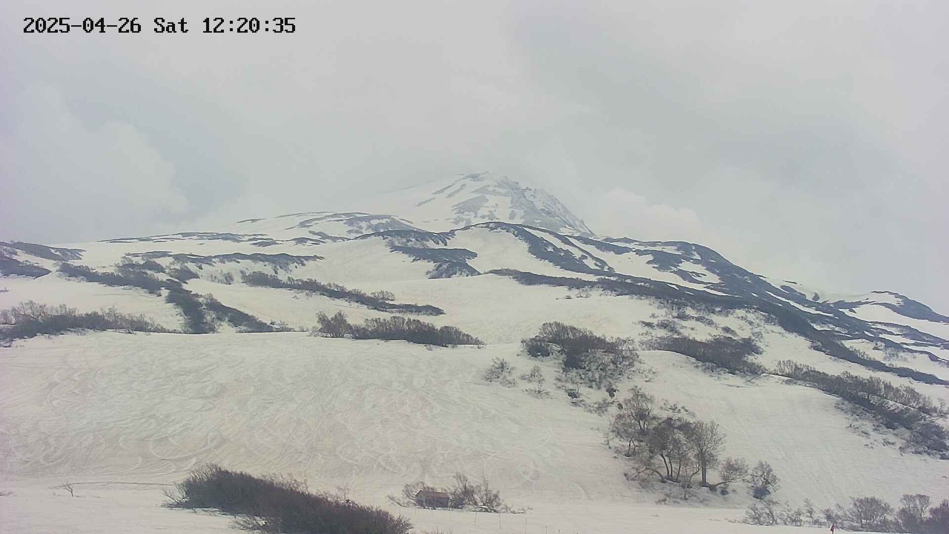 area2-20250426122041.jpg