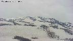 area2-20250426131057.jpg