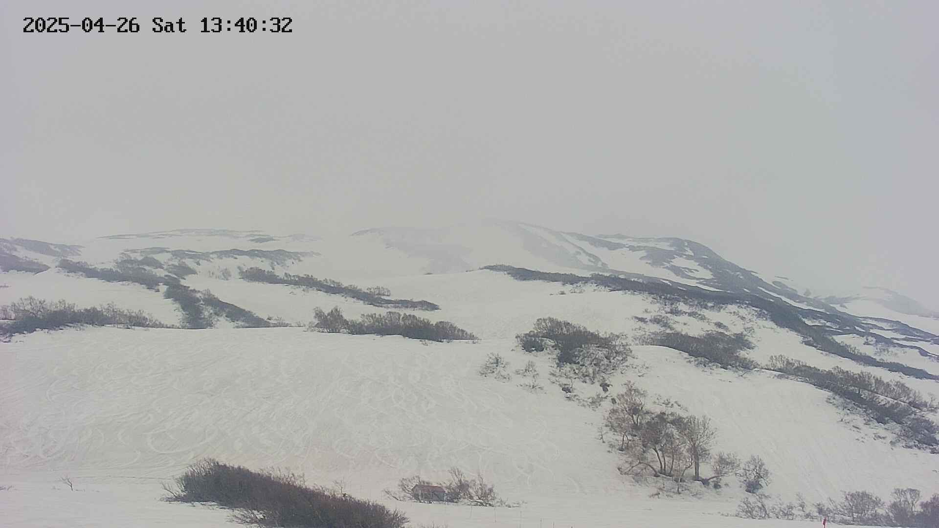 area2-20250426134036.jpg