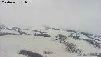 area2-20250426171032.jpg