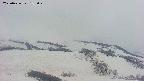 area2-20250426183030.jpg