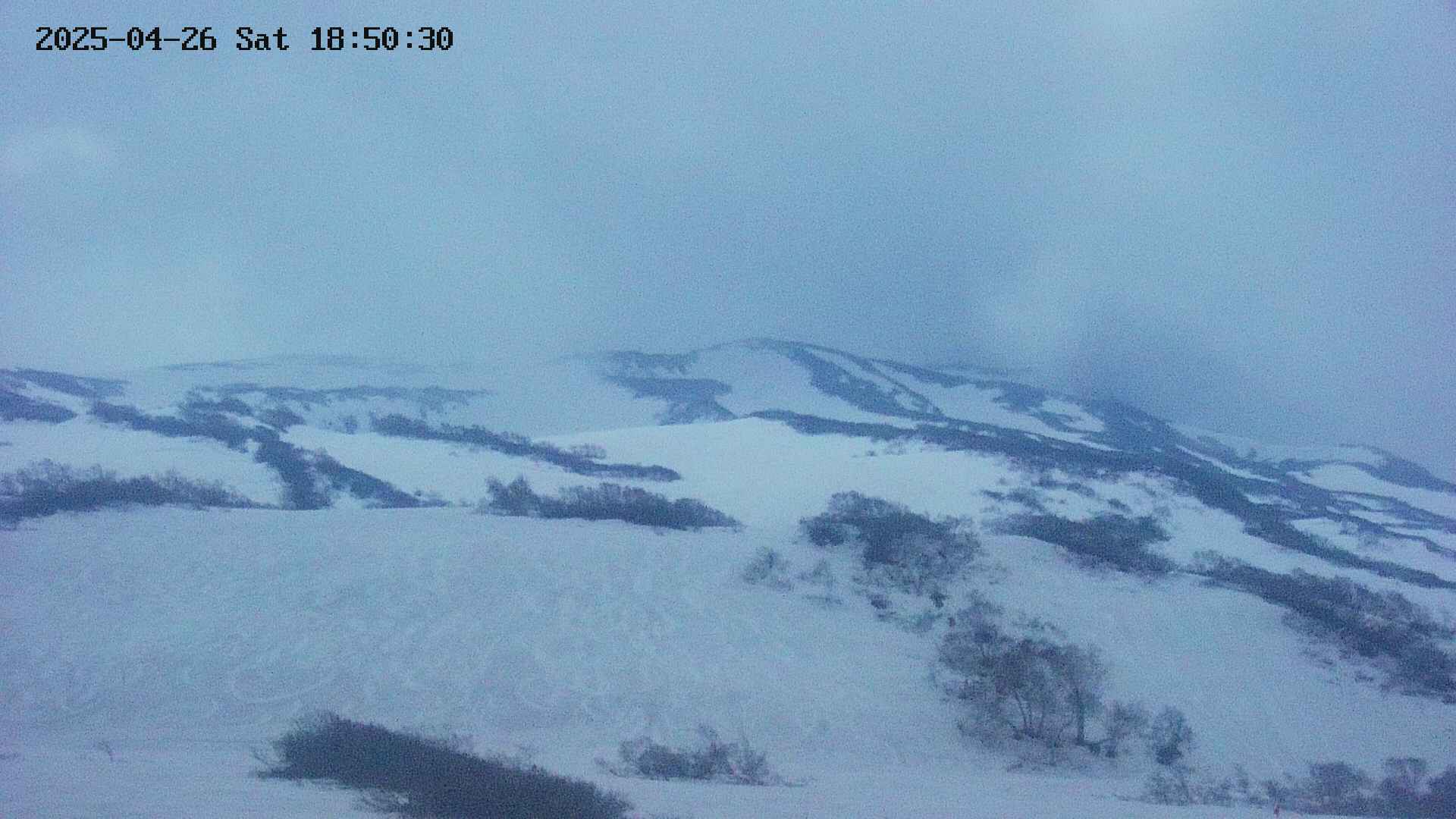 area2-20250426185032.jpg