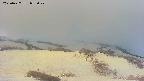 area2-20250427052029.jpg