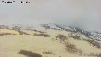area2-20250427053030.jpg
