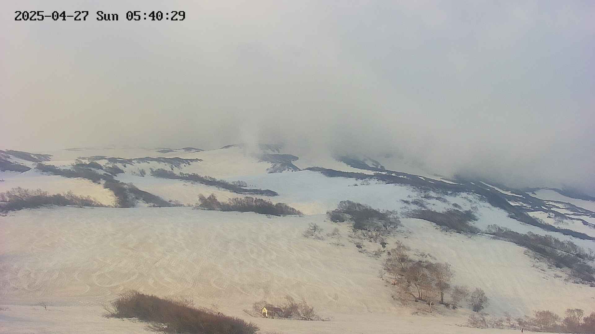 area2-20250427054031.jpg