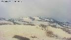 area2-20250427060030.jpg