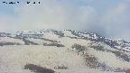 area2-20250427062032.jpg