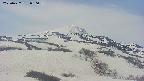 area2-20250427090039.jpg