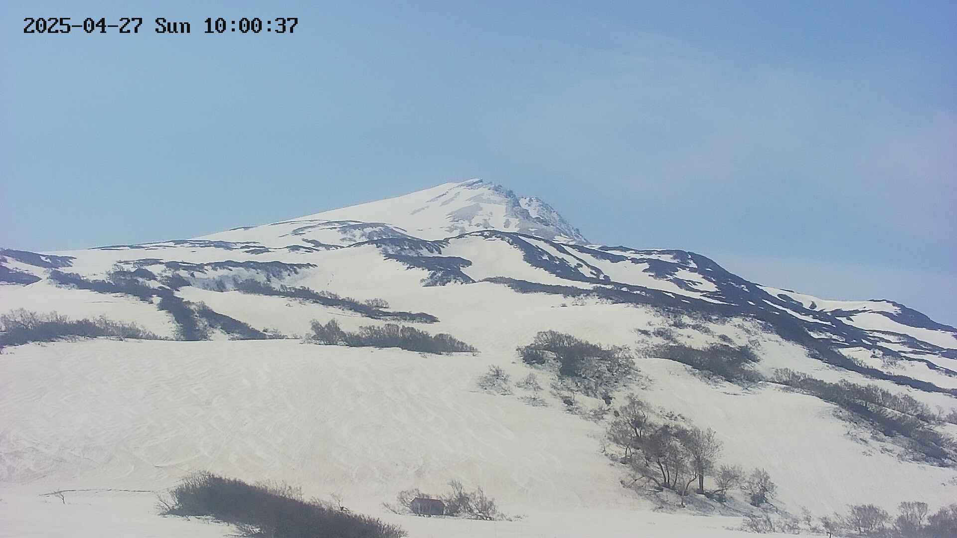 area2-20250427100039.jpg
