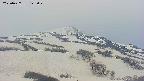 area2-20250427125031.jpg