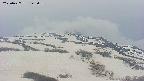 area2-20250427143037.jpg